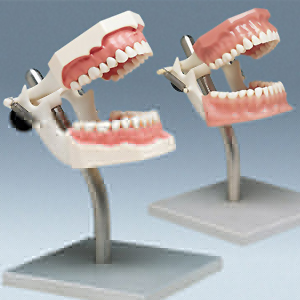 card-image
